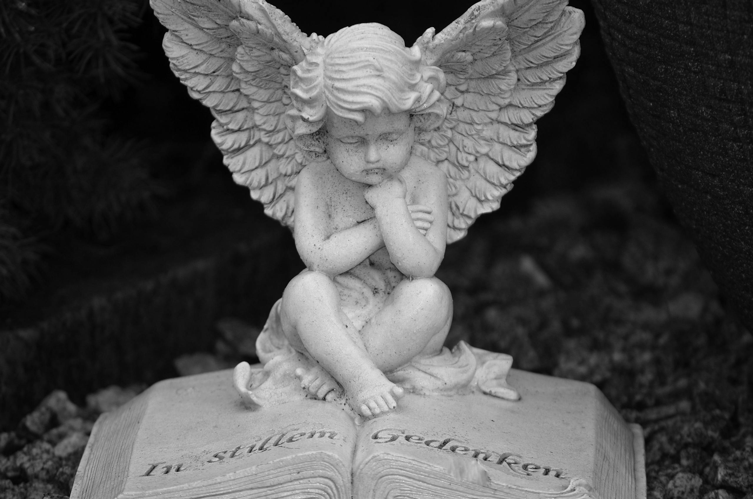 Serene angel statue with open book in a cemetery setting, symbolizing peace and remembrance.